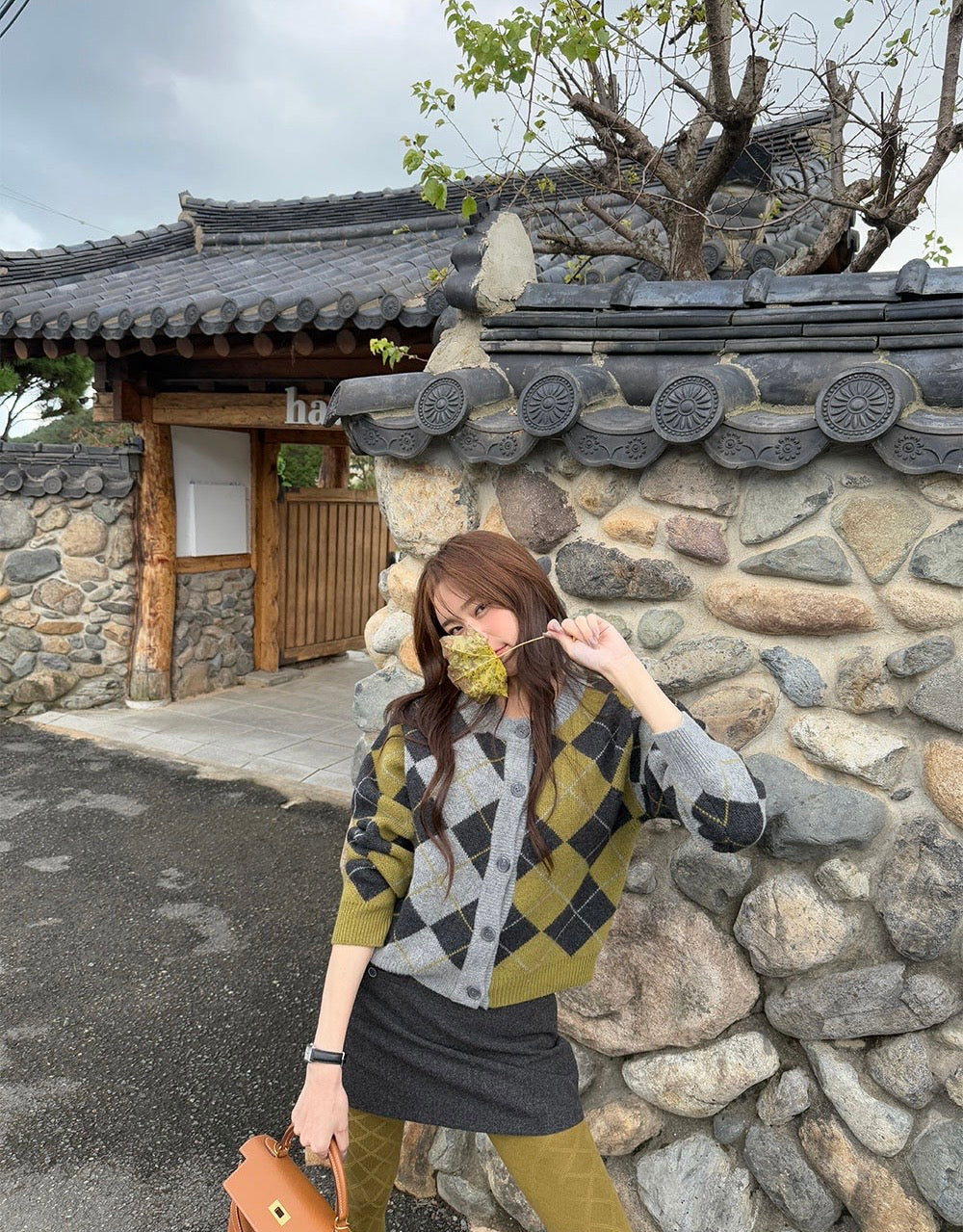 Ladies Argyle Pattern Knit Cardigan